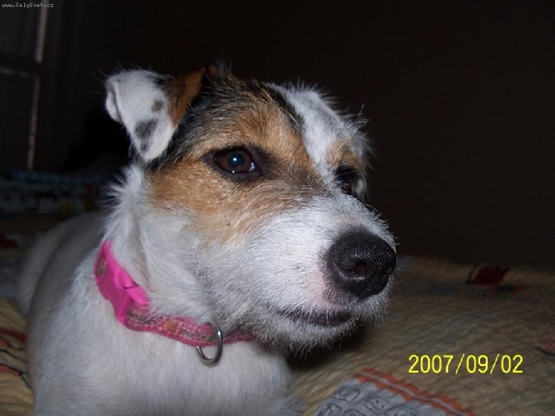 Foto: Wabira Drapichrust-Portrét