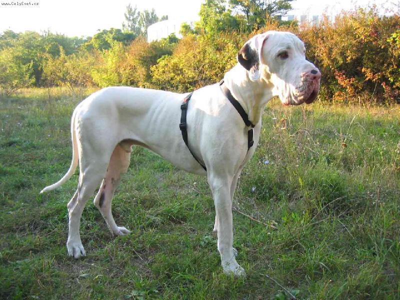 Foto: Campbell QuincyEtc.-14 měsíců