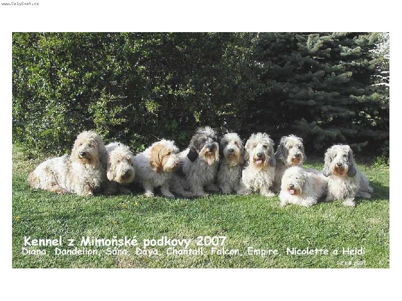 Foto: Kennel z Mimoňské podkovy-naše smečka