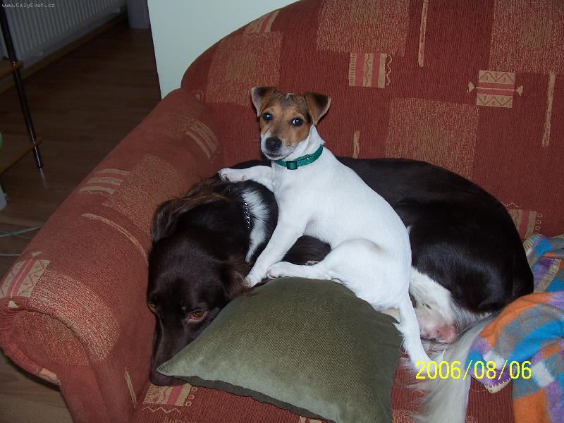 Foto: In Love Zona Bulls a Kamarád