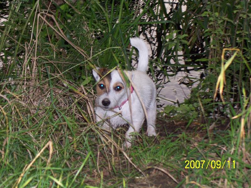 Foto: Wabira Drapichrust-Už se vody skoro nebojím