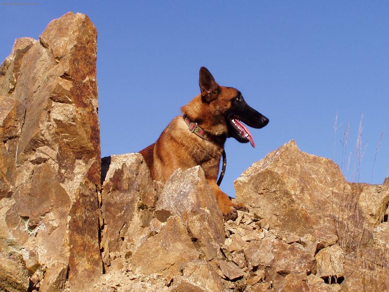 Foto: Bax od Mlazických tůní