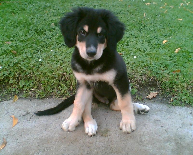 Foto: Akímek ve 3 měsících