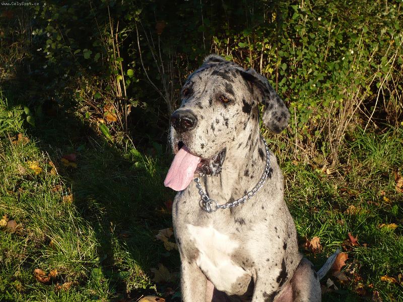 Foto: Woody-Woody 6.měsíců