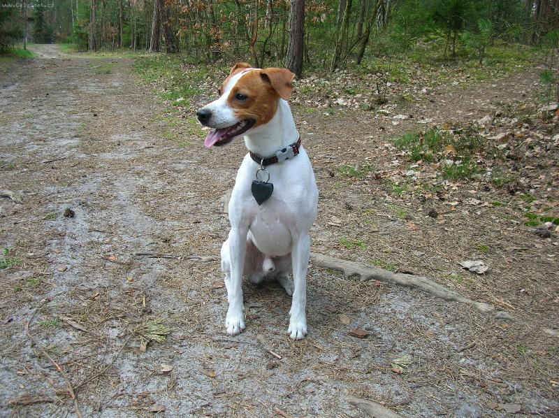 Foto: Milo na výletě