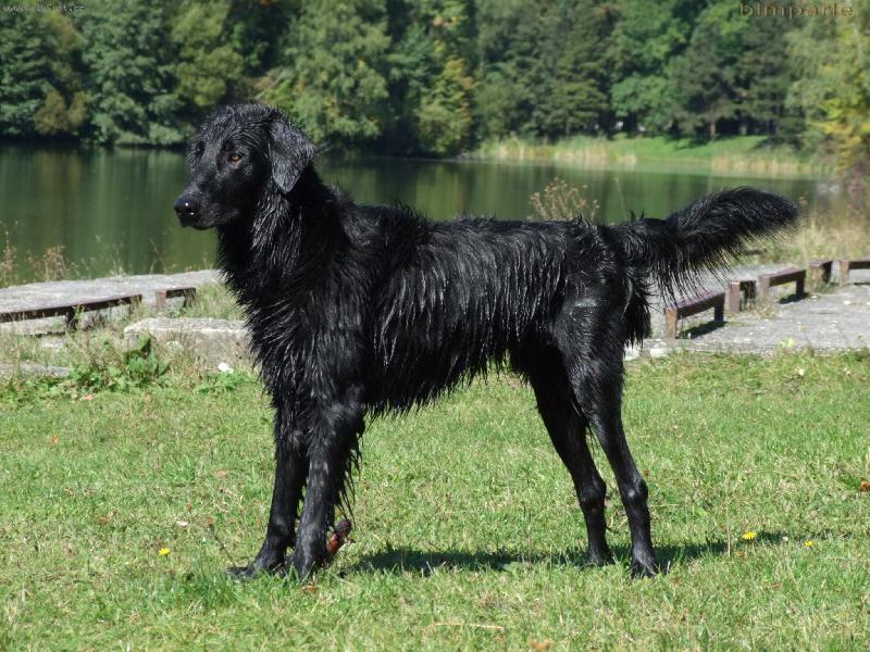 Foto: Argo-zasněný pohled na vodu