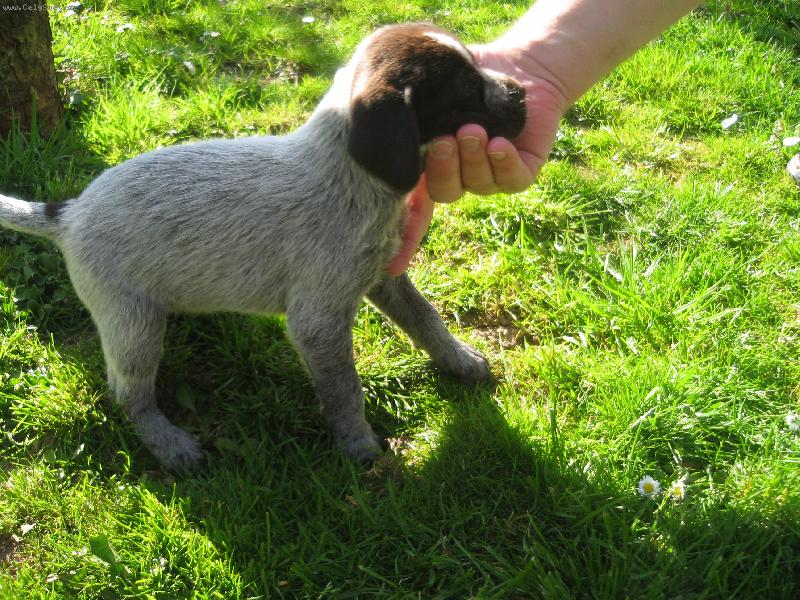 Foto: Bára - 6týdnů