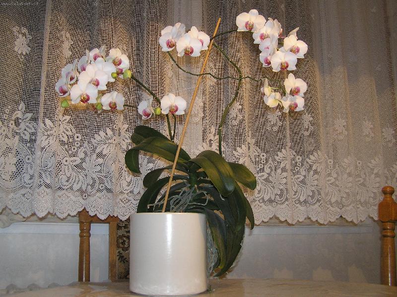 Foto: Miluška Kúnová z Břeclavi