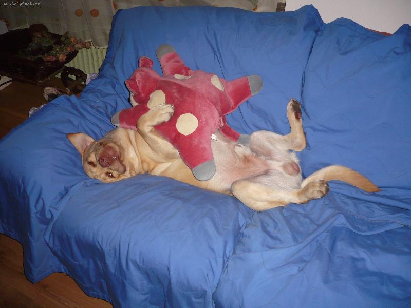 Foto: Neboj,nikomu tě nedám