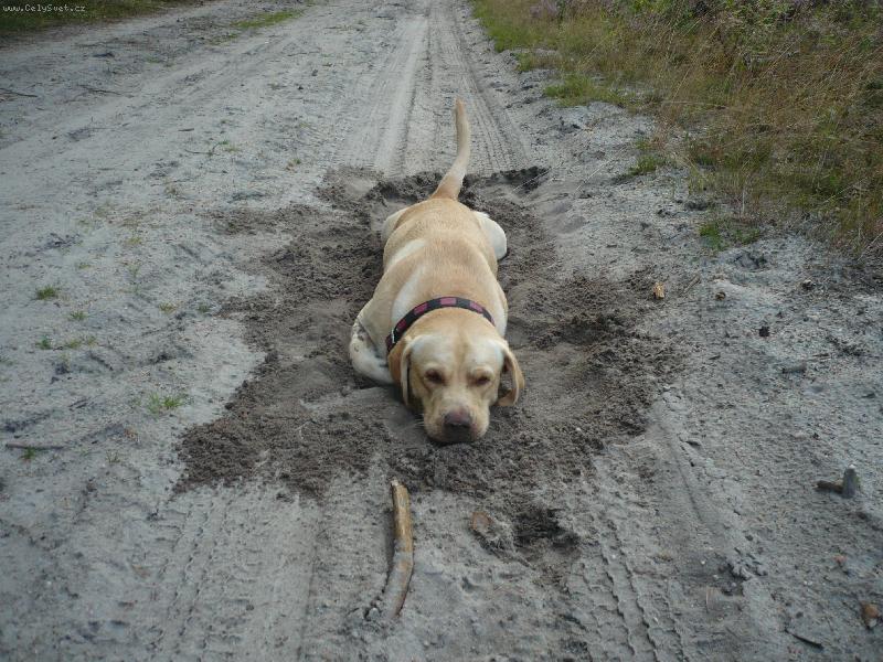 Foto: To to chlad�