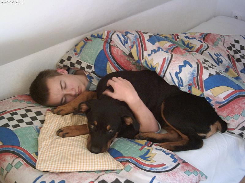 Foto: RTW, 5 měsíců-tak kdo z vás je to bojový plemeno?