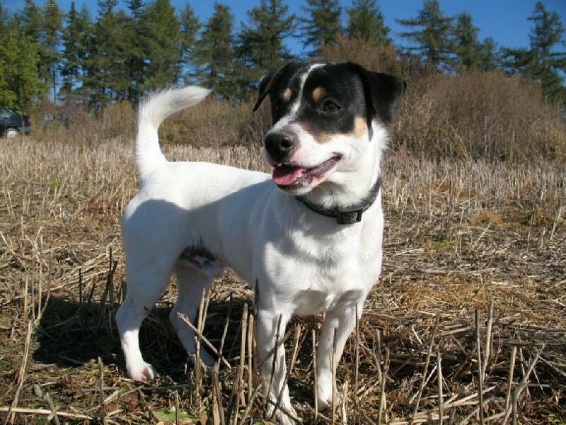 Foto: Na podzimní vycházce