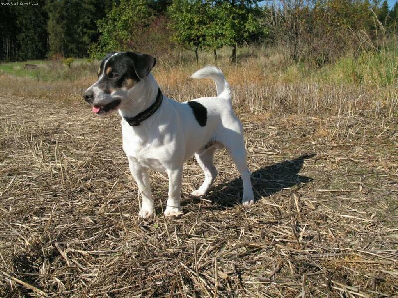 Foto: Podzimní póza