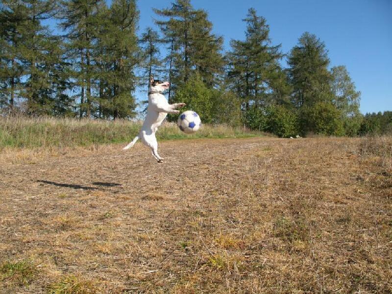 Foto: ......a ještě jedna fotbalová :)