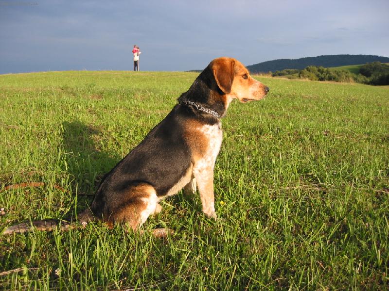 Foto: champion of Slovakia