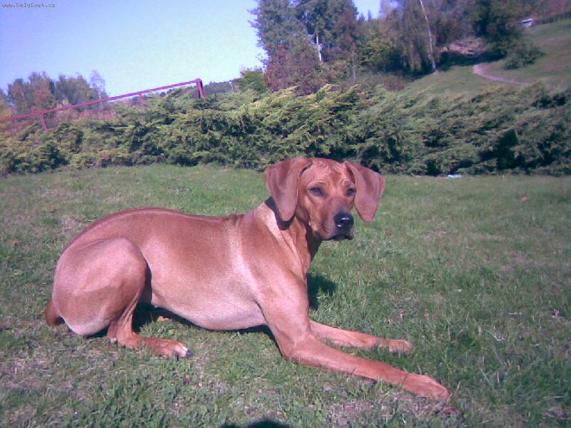 Foto:  Margaret- Na slunicku