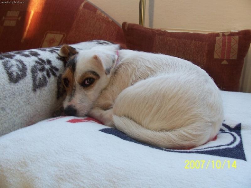 Foto: Wabira Drapichrust-Spinkám jak na obláčku