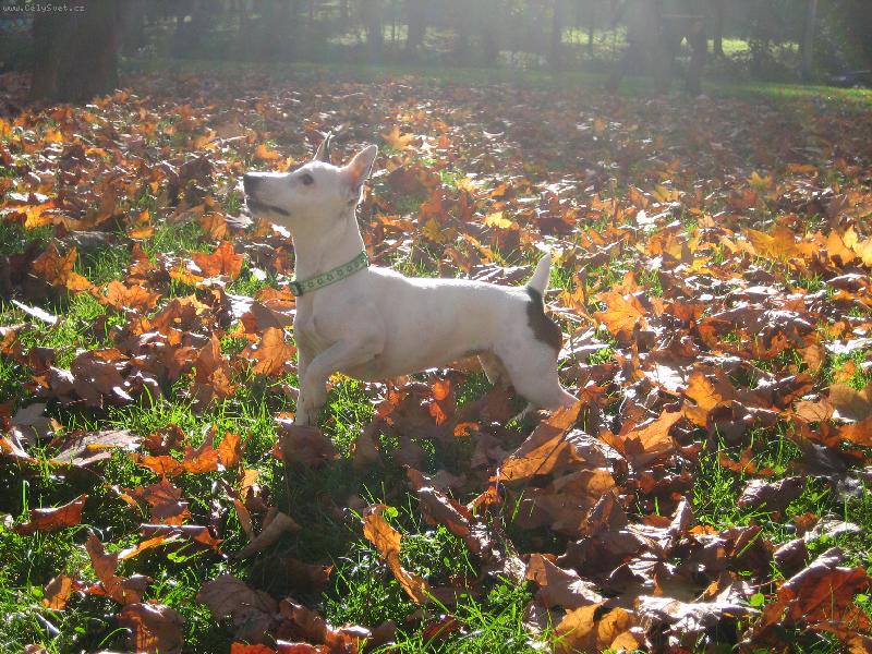 Foto: Ebby-Na sluníčku