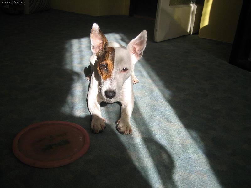 Foto: Ebby-Na sluníčku