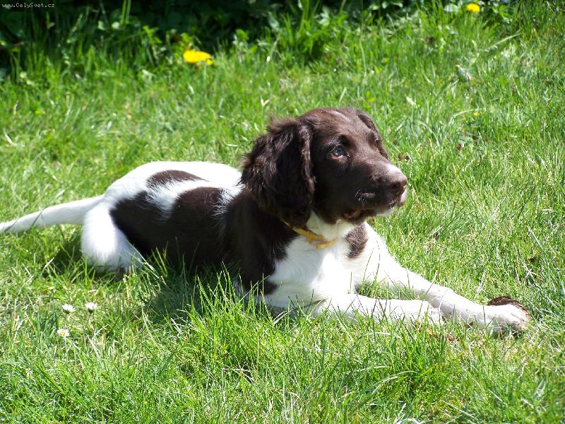 Foto: Atos - 5 měsíců