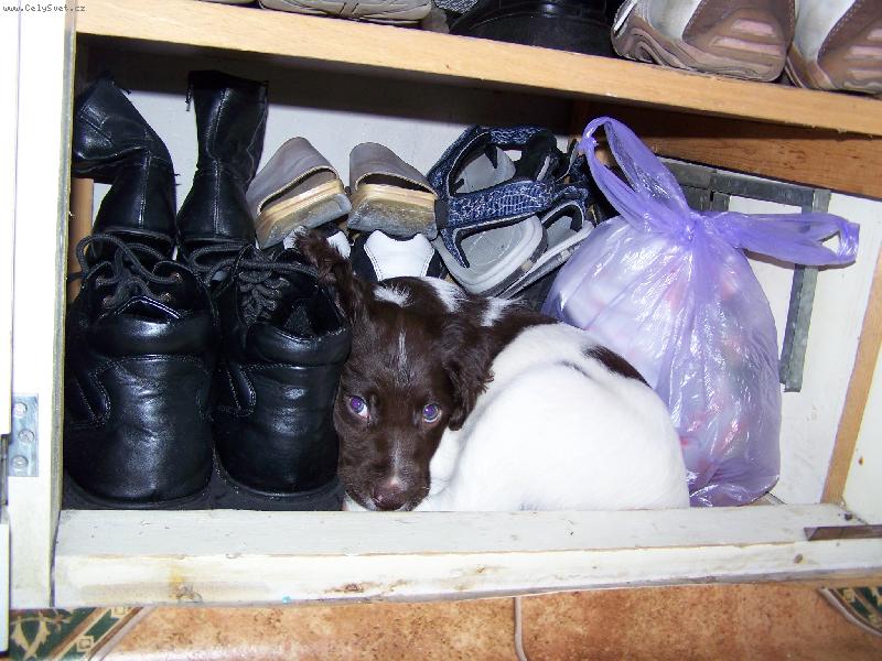 Foto: Atos - 7 týdnů-První den doma