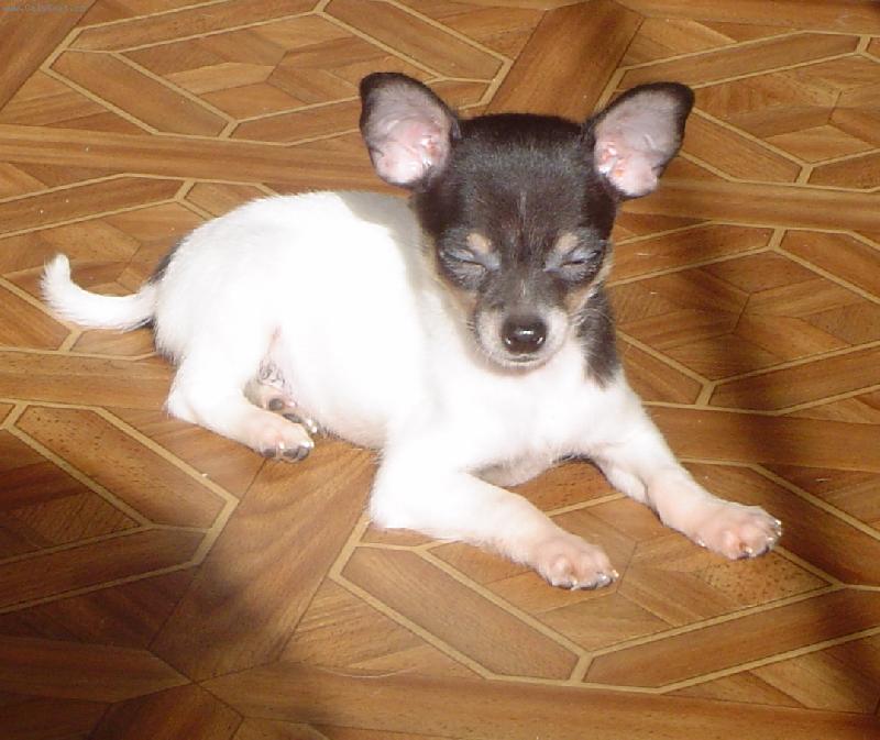 Foto: malá a šikovná-malá a šikovná