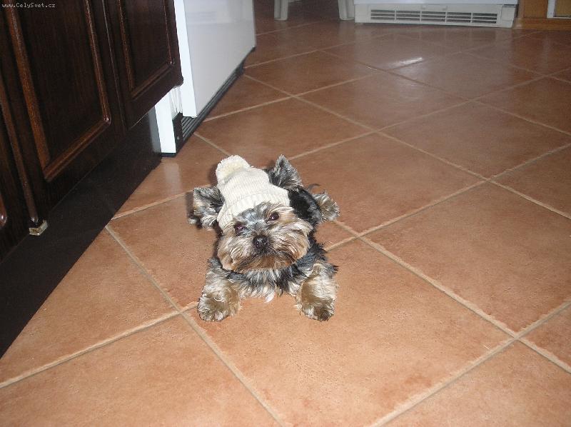 Foto: zima se blíži