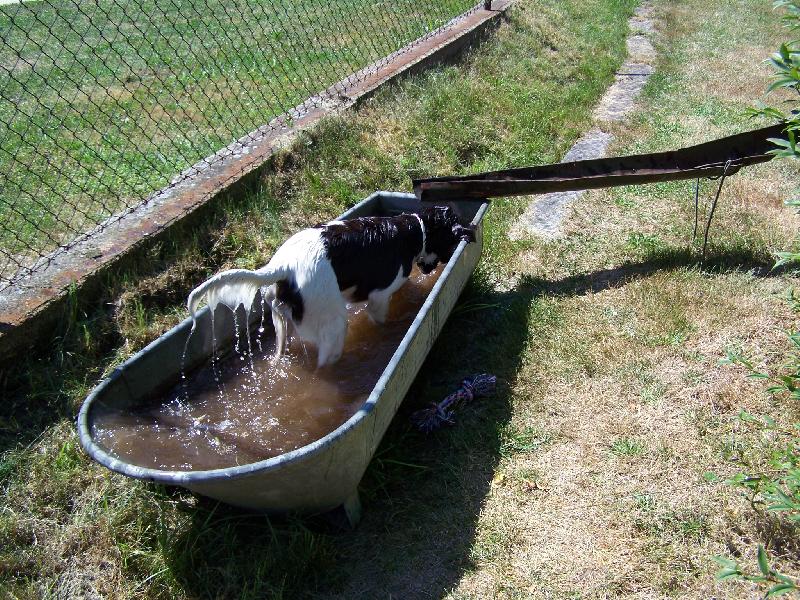 Foto: Atos - Lord Eben-Ezer