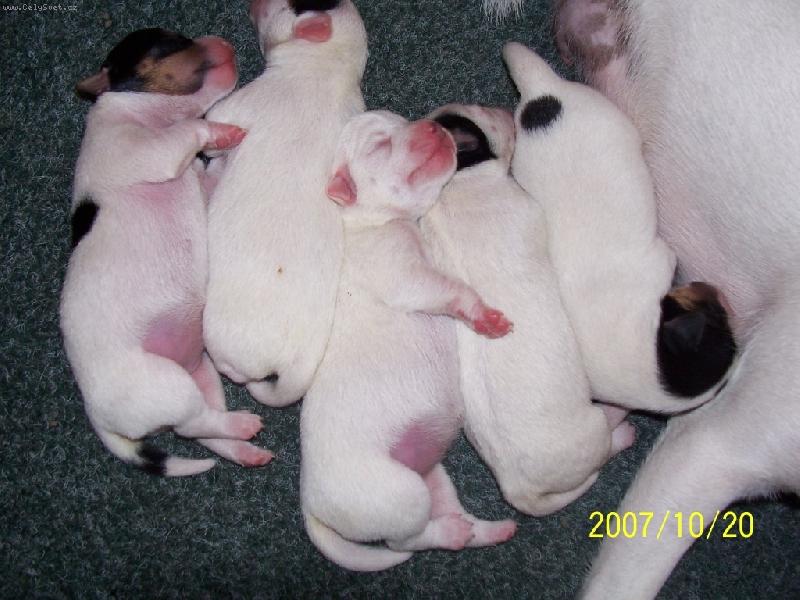 Foto: Spinkáme a jsme spokojení-Napapaní a spokojení