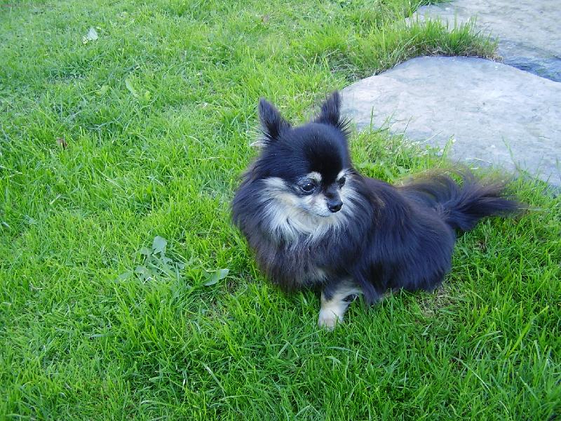 Foto: Timmy-Trochu se stydím