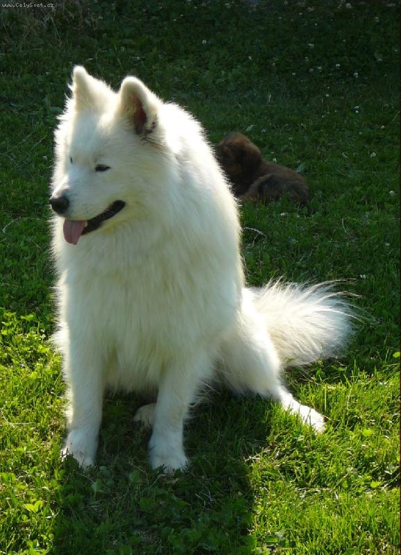 Foto: Andy - více na www.uandyho.blog.cz-Andy hlídá malou Áju :)