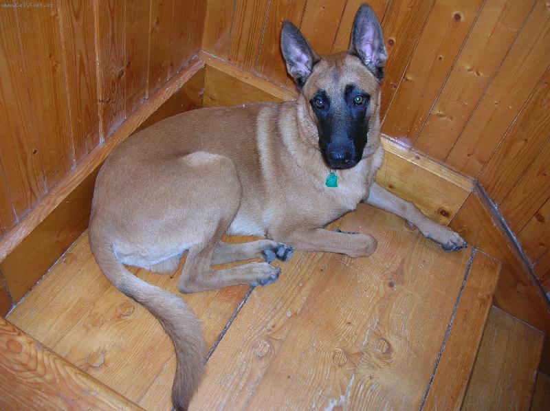 Foto: vidíte mě? nesplívám co....-koblížek z Vizovic