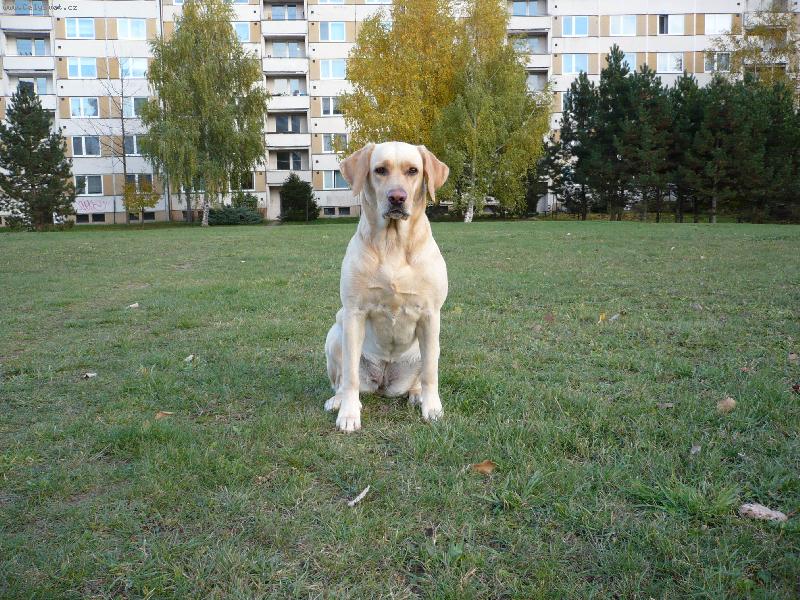 Foto: B�ra-Pozor vylet� pt��ek