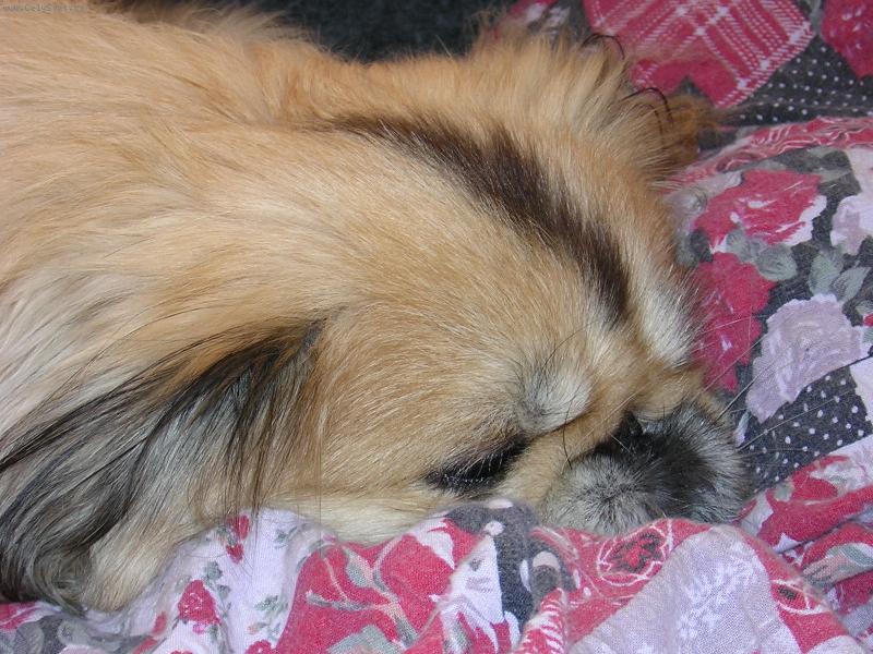 Foto: andílek který už na nás kouká z nebíčka