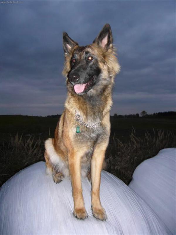 Foto: Ahojky, Elí bude 1 rok 30.10.2007-Ahojky, Elí bude 1 rok 30.10.2007