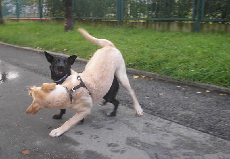 Foto: Bitka to já nejraději