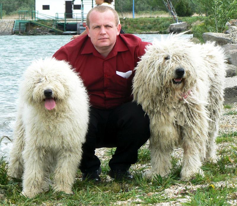 Foto: komondor-mladá fena a pes s chovatelem
