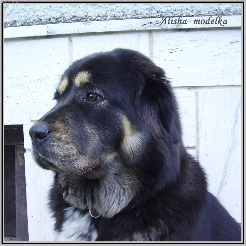 Foto: Alisha 11 mesiacov-11 mesiacov