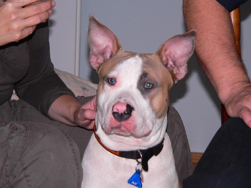 Foto: BRUS-UŽ JSEM VYROSTL