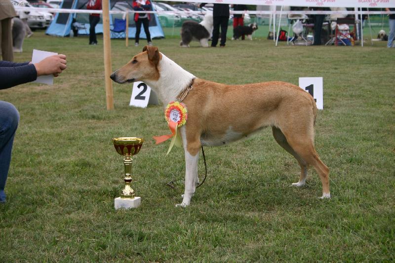 Foto: Gaya Krásná Louka