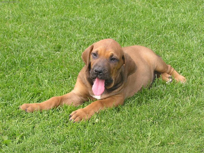 Foto: stěnátko-stěnátko