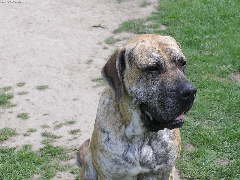 Foto: Arkánek-Arkánek