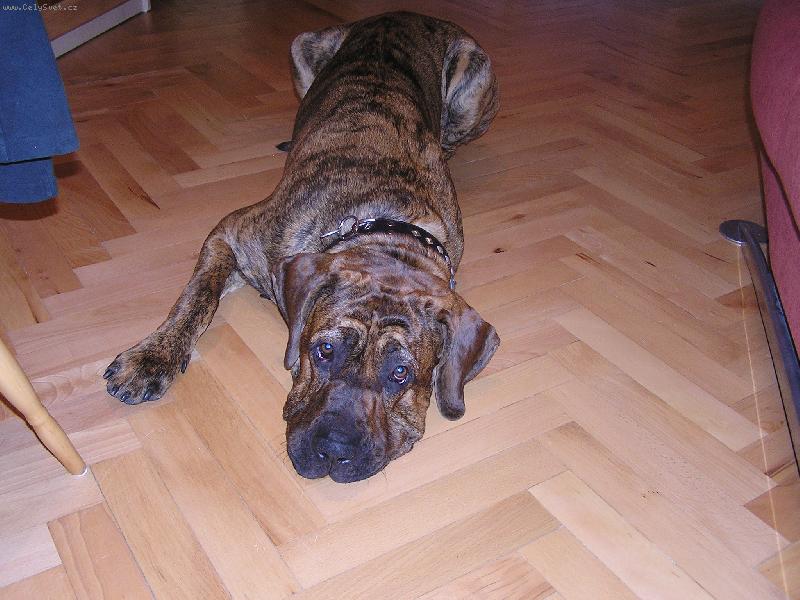 Foto: To je pohodička-To je pohodička