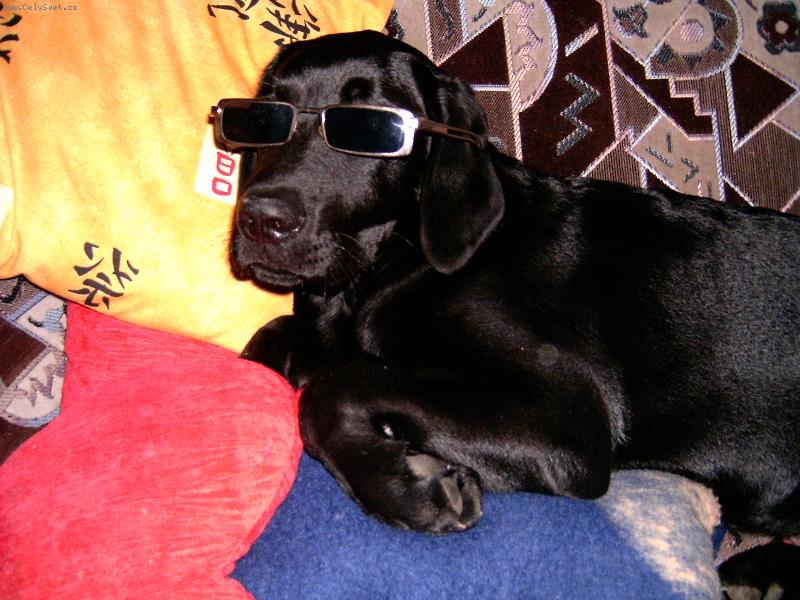 Foto: těžká pohoda-Endy