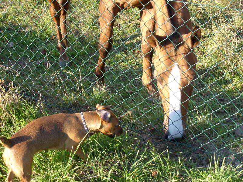 Foto: Já a kořist- bria