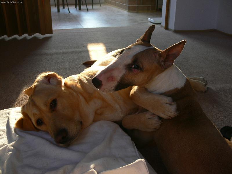 Foto: Naše Nelly Bety