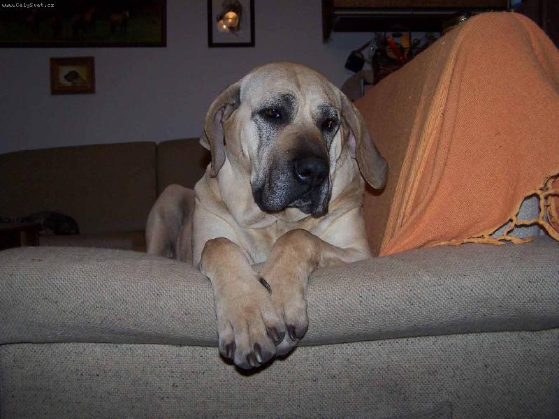 Foto: Abaúna Anavi Rachilem