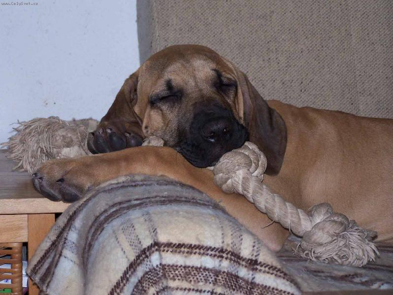 Foto: Eroni - spinkám a rostu - nerušit!