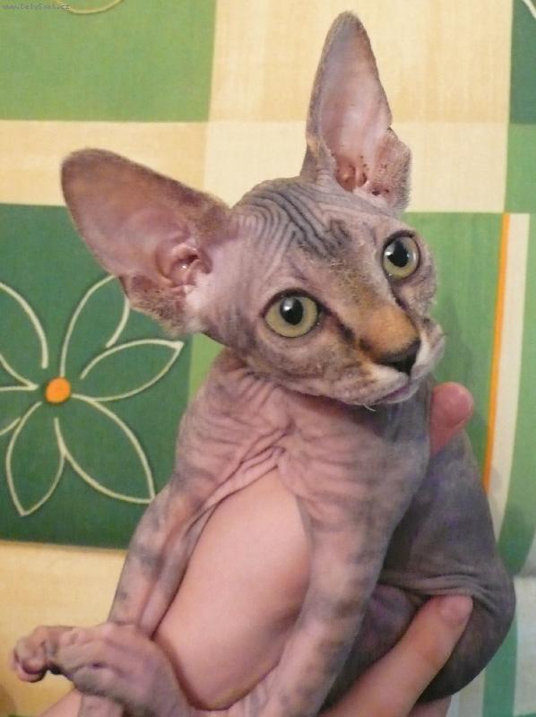 Foto: Žanetka-naše Naděje