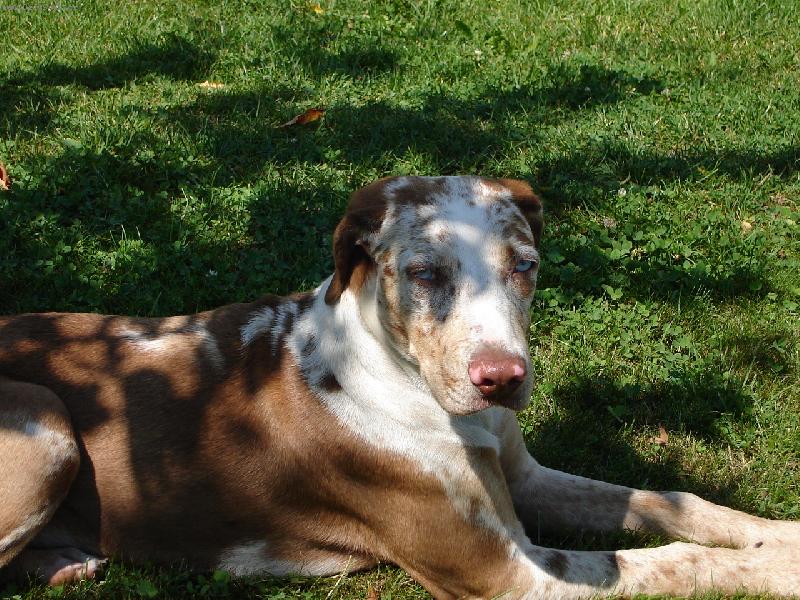 Foto: Konečně doma-IZZ odpolední pohoda